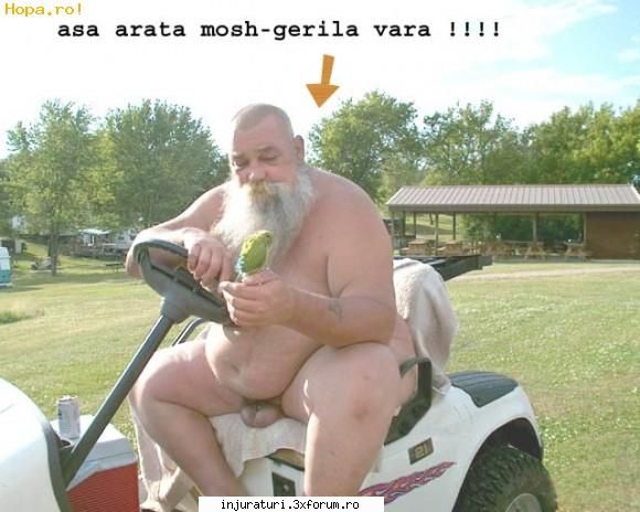 mancarai pula de franzelar coclit si plin de vanatai la cur zici ca esti pula mea belita cand o scot
